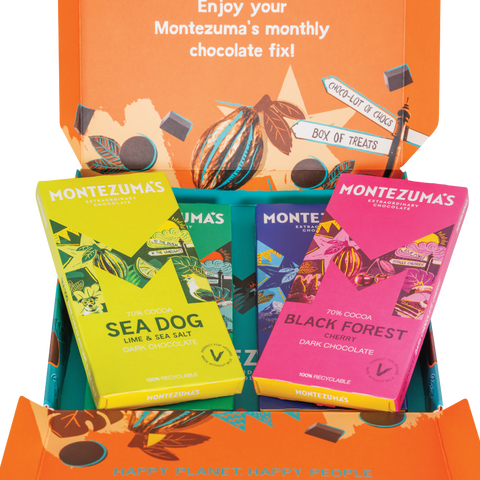 Vegan Chocolate Taster Bundle